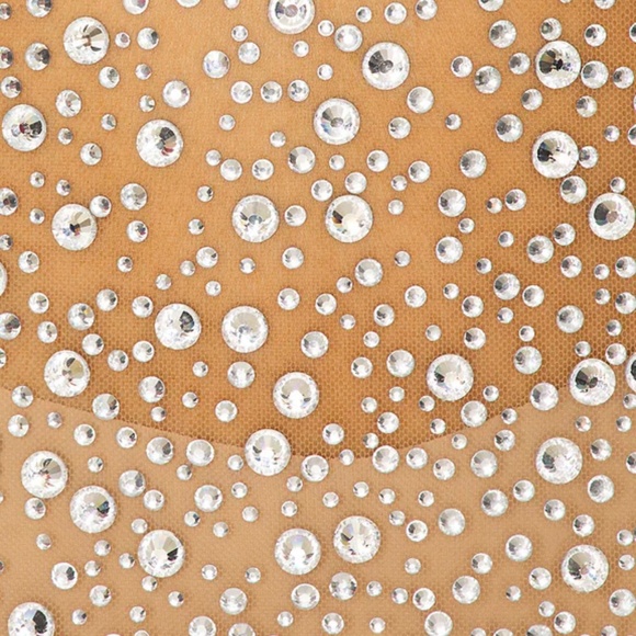 Bejeweled Nude Dress - Picture 3 of 3